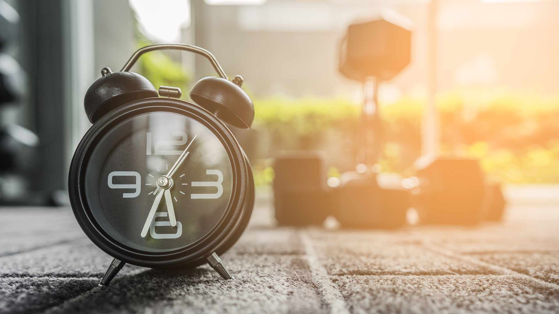 melhor horário para treinar treino como treinar melhor